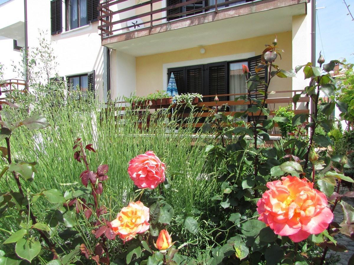Mirela House With Apartment Umag Ngoại thất bức ảnh